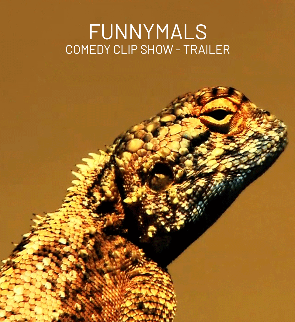 FUNNYMALS - COMEDY CLIP SHOW - TRAILER