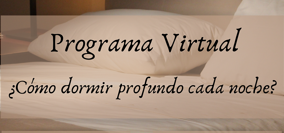 Programa Virtual (2).png
