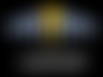 Visible and Vulnerable: The Honesty of Leadership