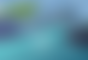 WATCH: Executive Director Jamie Haft talks “Waves of Change” for 2022