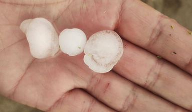 Hails_edited.jpg