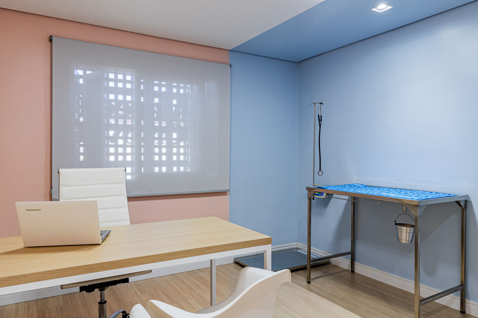 anuário arq 2024 - soma - clínica pet - lajeado (6)