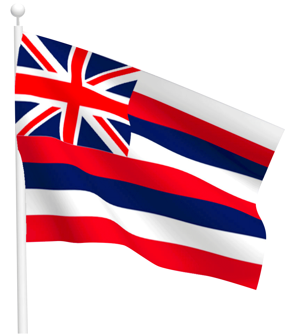 公式 佐賀と福岡のフラダンス教室 Halau Ke ʻalohi Mai Ka Mahina 公式 佐賀と福岡のフラダンス教室 Halau Ke ʻalohi Mai Ka Mahina