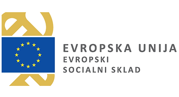 ESS_logo_png-01.webp