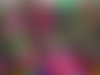 A Jungle inspired backdrop with disco balls and flamingos and lots of colour