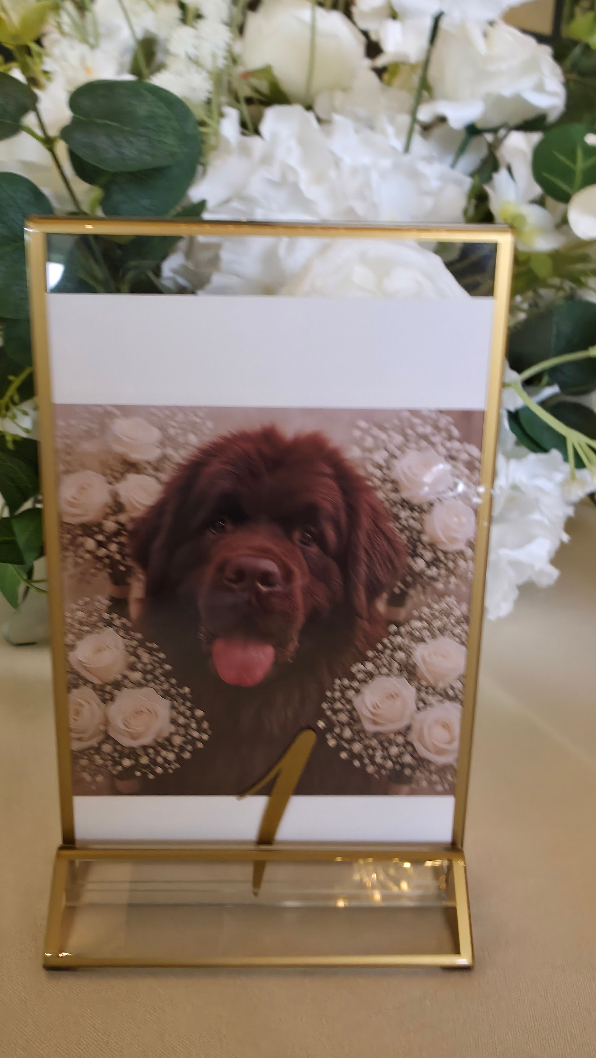 Newfoundland dog table name stationery at Old Rectory Killyman wedding
