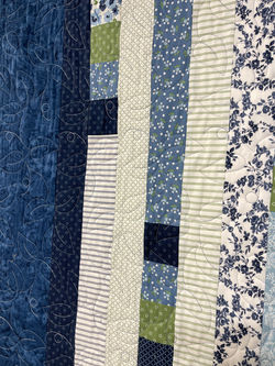 Morning Glory Leaves