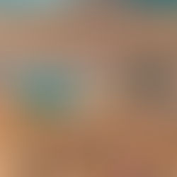 The Best Airbnb Porto Genova Options