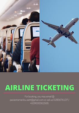 Bibar- Paciente Travel and Tours Services Offered 1.png