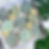 A4468048-478F-4827-8356-7695D3A26479.jpeg