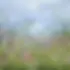 Bridget Winterbourne | North Somerset Arts
