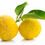 Miniature : Vinaigre de Yuzu