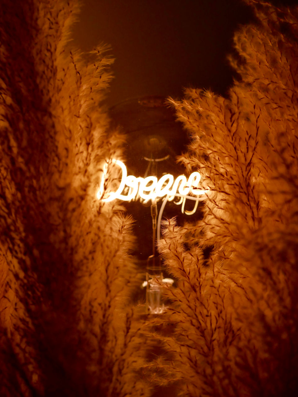 Photographie d'une installation artistique avec le mot 'Dreams' illuminé dans une ampoule, à Las Alondras, Begur. Captation Production, photographe Avignon