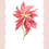 Thumbnail: Poinsettia