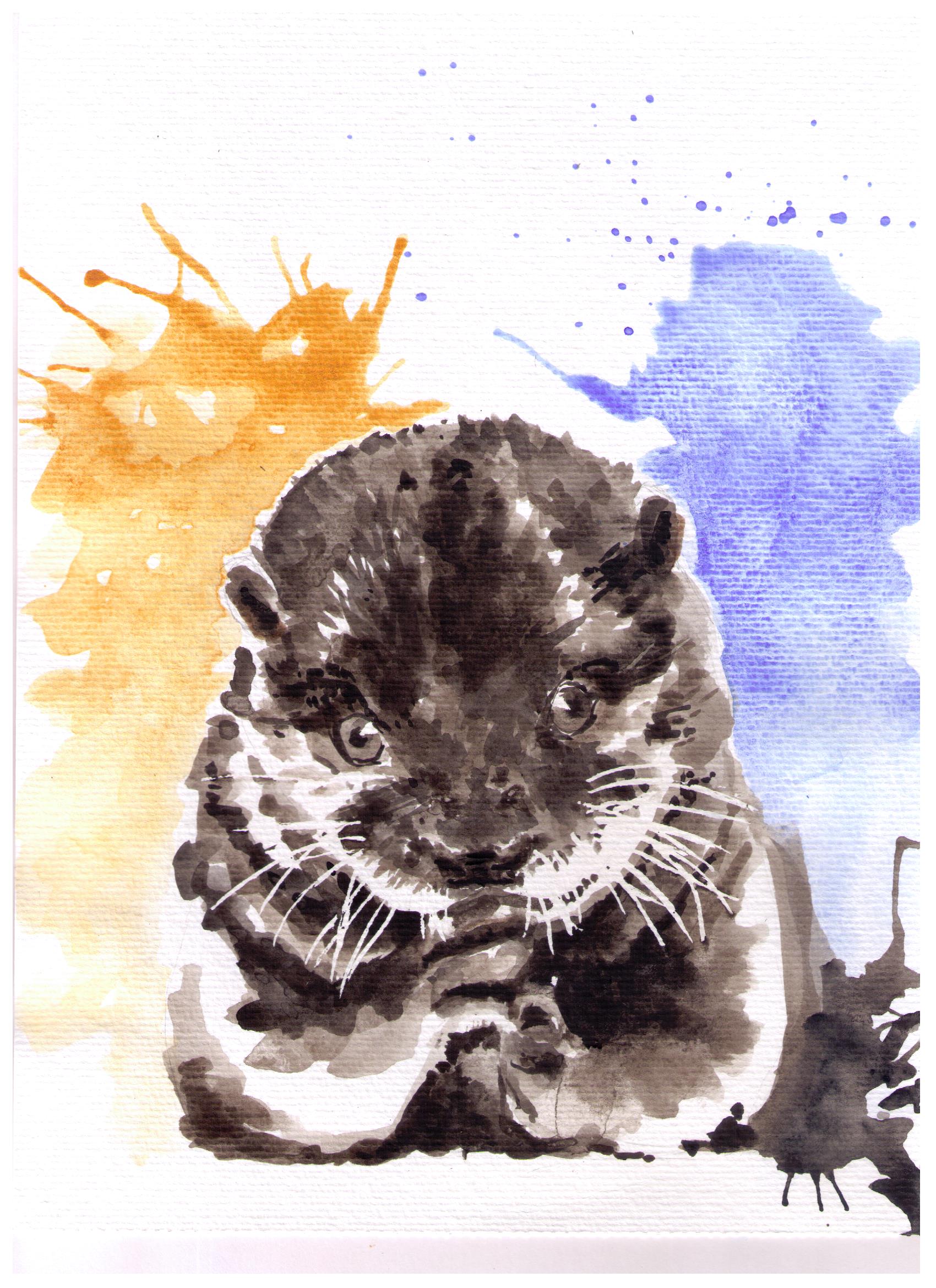 Loutre