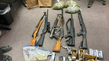 Two individuals were apprehended during a marijuana cultivation bust in Lake LA.