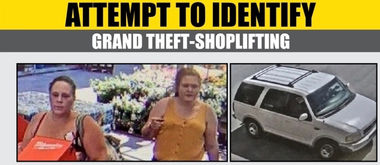 Help identify these Grand Theft suspects