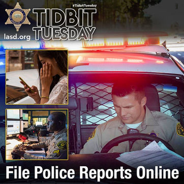 Did you know you can file a police report online.