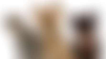 DACC Mobilizes for Evacuations Due to the Hughes Fire