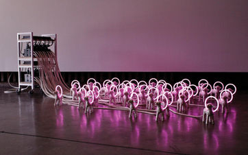 Examine the Relationship between Humankind and the Animal Kingdom with MOAH’s Peace on Earth Exhibit