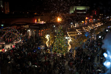 A Magical BLVD Christmas Transforms The BLVD into a Winter Wonderland.