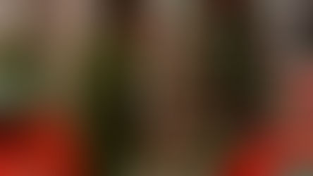 Free Christmas tree disposal events Jan. 11 for unincorporated residents