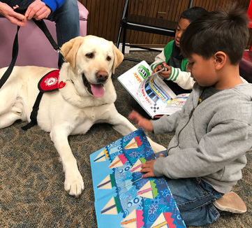 Ring in the New Year With Books and Barks