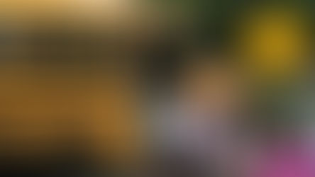 DMV Highlights New Laws in 2026