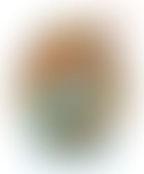 ‘Tis the Season to Dive Into Fun with a Discounted DryTown Water Park Season Pass