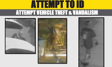 Lancaster Sheriff's needs your help identifying a vandalism suspect.