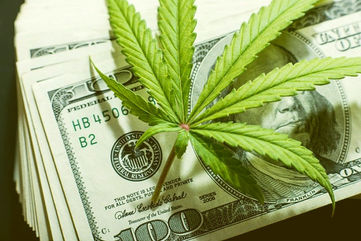 California Lawmakers Considers Lowering Taxes On Cannabis, To Help New Legal Industries Compete With