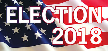 Unofficial results for the 2018 City of Lancaster Council Races