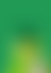 Shamrock Shakes returning to McDonald's menu