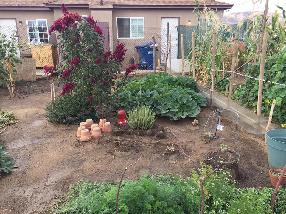community_garden