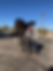 ree