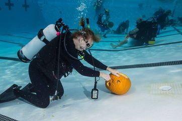 Underwater Pumpkin Carving Contest Returns to Palmdale