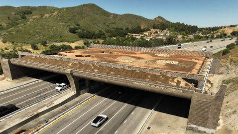 World's largest wildlife crossing reaches critical milestone