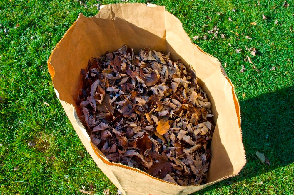 Residents Encouraged to Bag their Fallen Leaves. Waste Management to