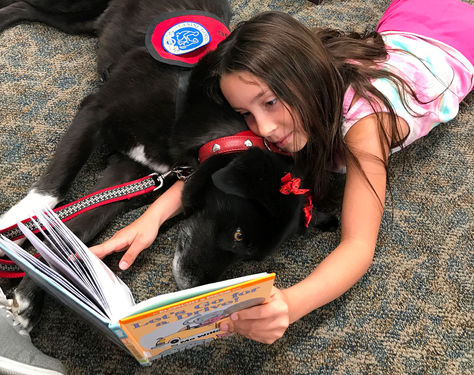 Books and Barks Returns to the Palmdale Library in November