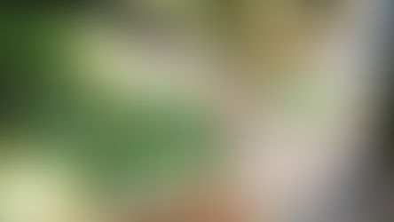 A Lancaster man charged in EBT fraud scheme.