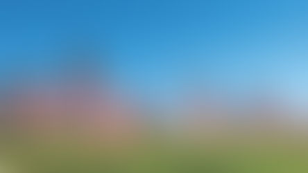 Flag Sales Begin for Palmdale’s Field of Honor Display