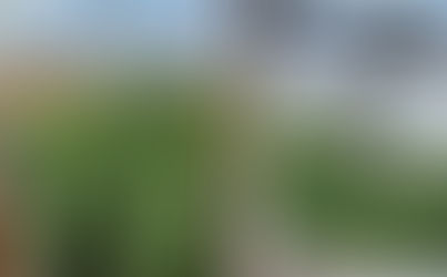 Illegal cannabis operations taken down near Saddleback Butte State Park in Antelope Valley. Colonel Allensworth State Historic Park in Allensworth.