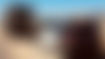 43,000 pounds of mulch waste dumped