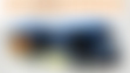 North County TDA Article 8 Public Hearing Board Recommends GoPass Program