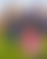 Palmdale’s Children’s Springfest & Egg Hunt Returns on April 12