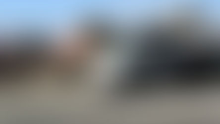 Disposal Day in The Lake August 24, 2024