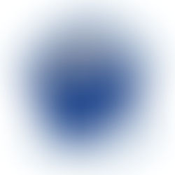 Palmdale Code Enforcement Officers Commended for Swift Action in Addressing DUI Incident