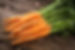 logo.jpg
