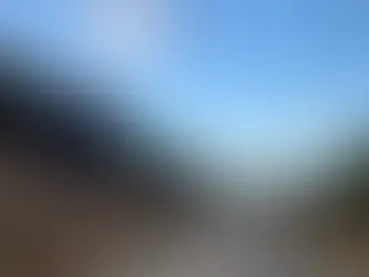A Tragedy in the Mist