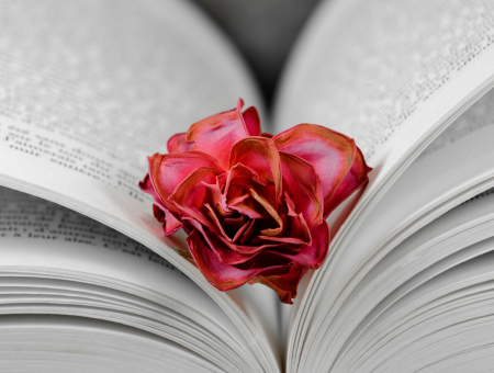 A heartfelt poetry expressing the deep desire to spend the final conscious moments of life—those seven minutes before death—with a cherished loved one, reliving precious memories